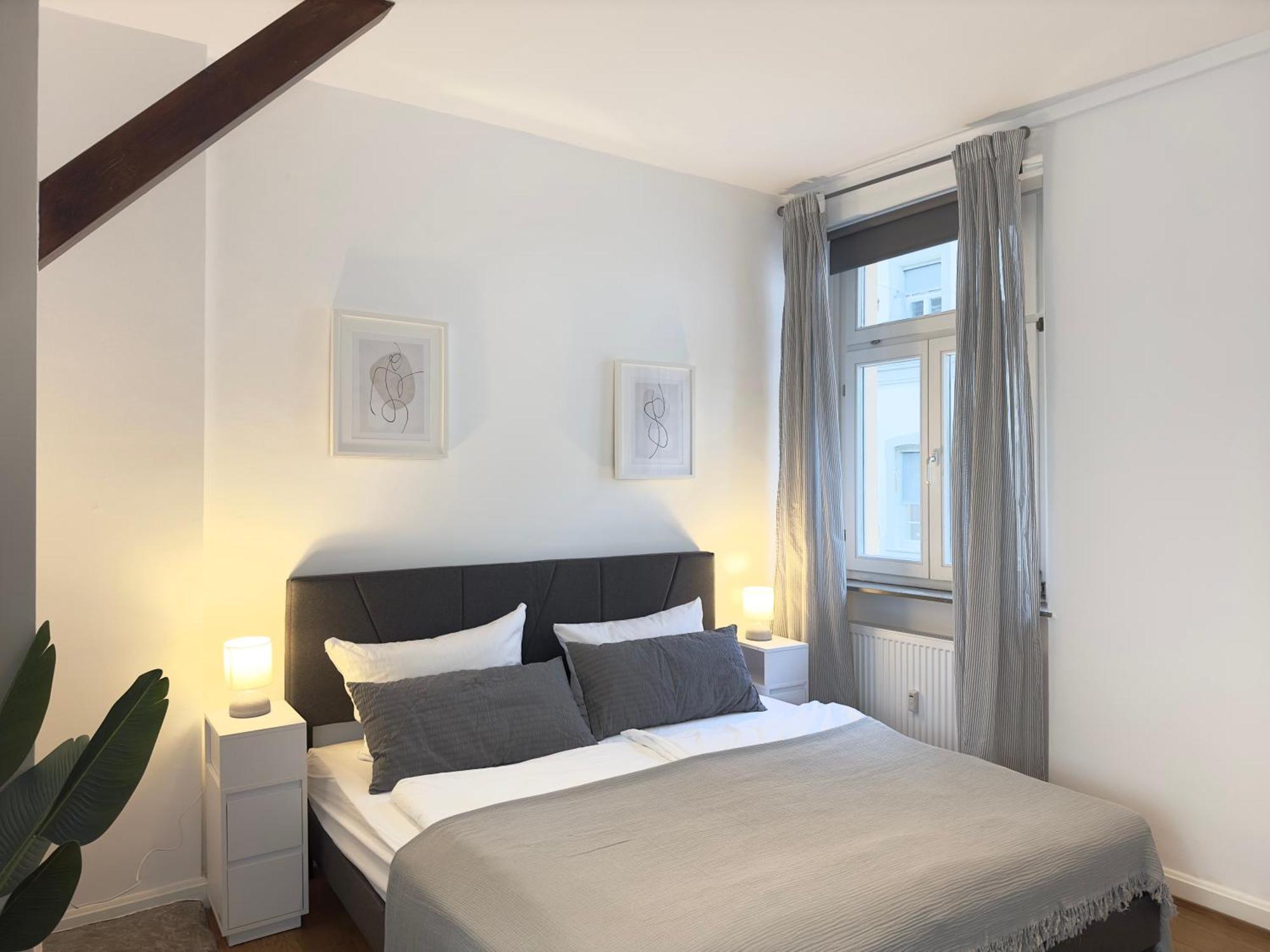 Luxury Old Town Suite - Xxl Terrasse & Xxl Penthouse Heidelberg Eksteriør billede