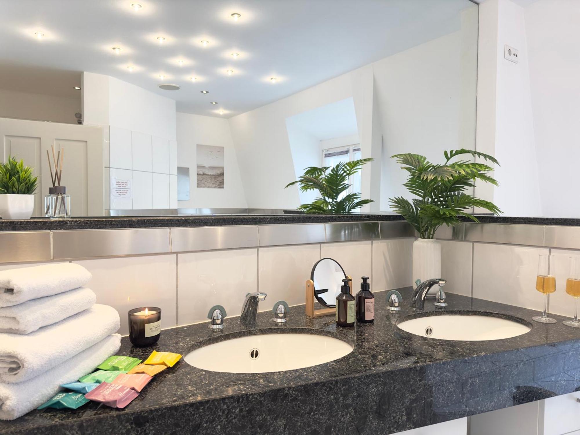 Luxury Old Town Suite - Xxl Terrasse & Xxl Penthouse Heidelberg Eksteriør billede