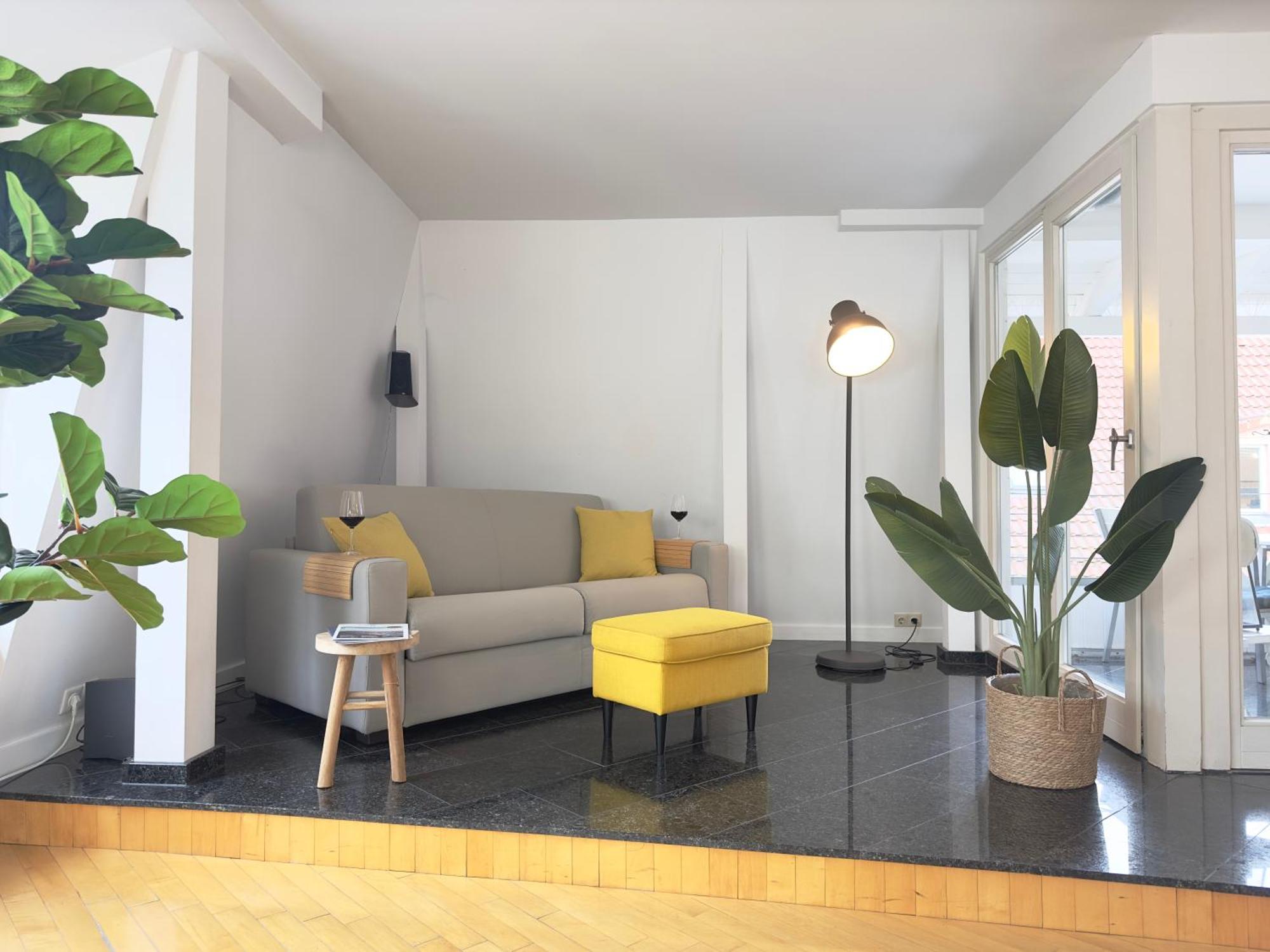 Luxury Old Town Suite - Xxl Terrasse & Xxl Penthouse Heidelberg Eksteriør billede