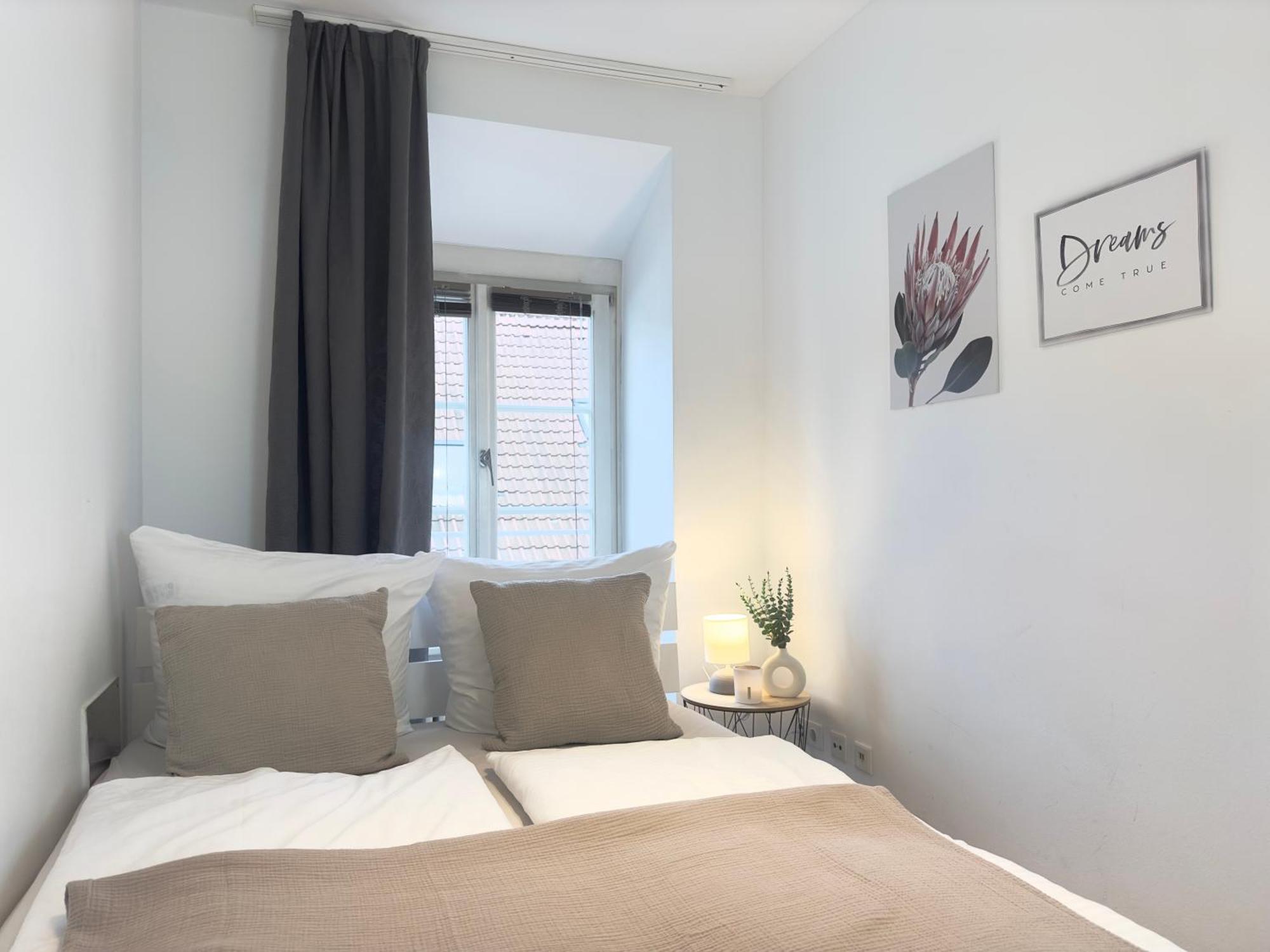 Luxury Old Town Suite - Xxl Terrasse & Xxl Penthouse Heidelberg Eksteriør billede